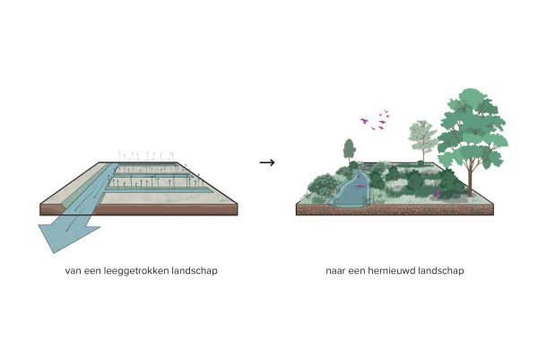cb5_nieuws_eo-wijers-2